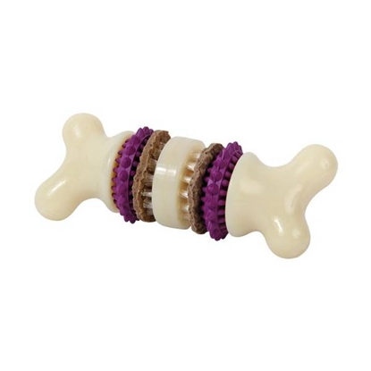 Picture of Busy Buddy Bristle Bone Dental Chew and Treat Toy for Dogs